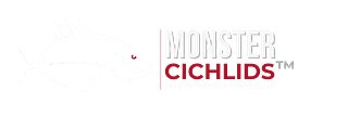 Monster Cichlids