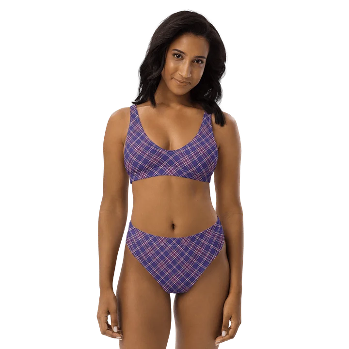 Purple Orchid and Violet Plaid Bikini product image (1)