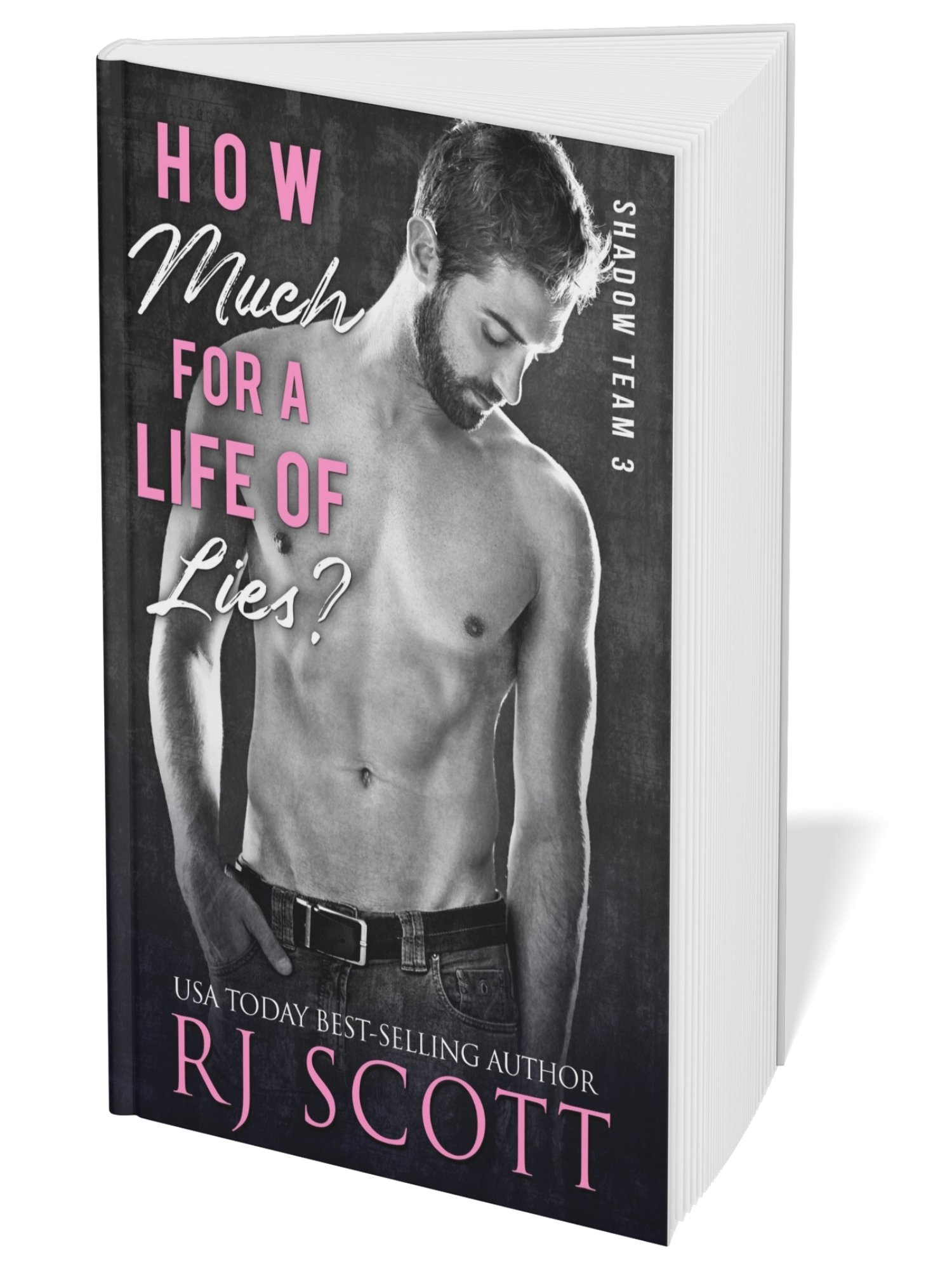 How Much For a Life of Lies? (Shadow Team 3) - paperback product image (1)