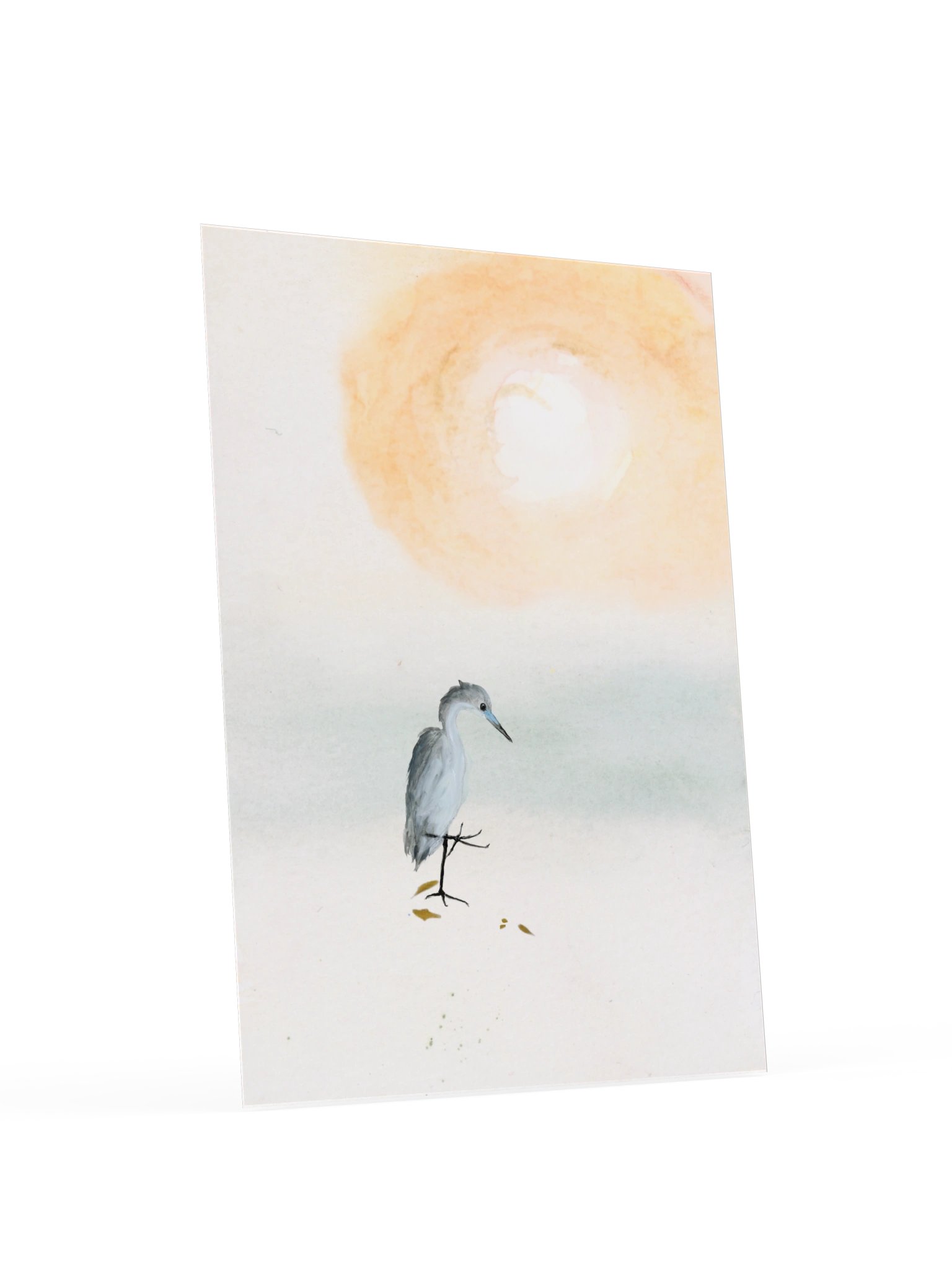 Baby Blue Heron - Fine Art Print product image (37)