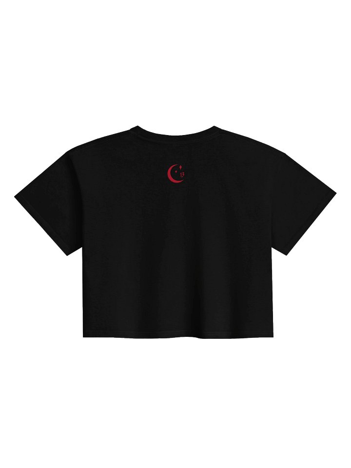 Pocket of Manticore Crop Top product image (7)