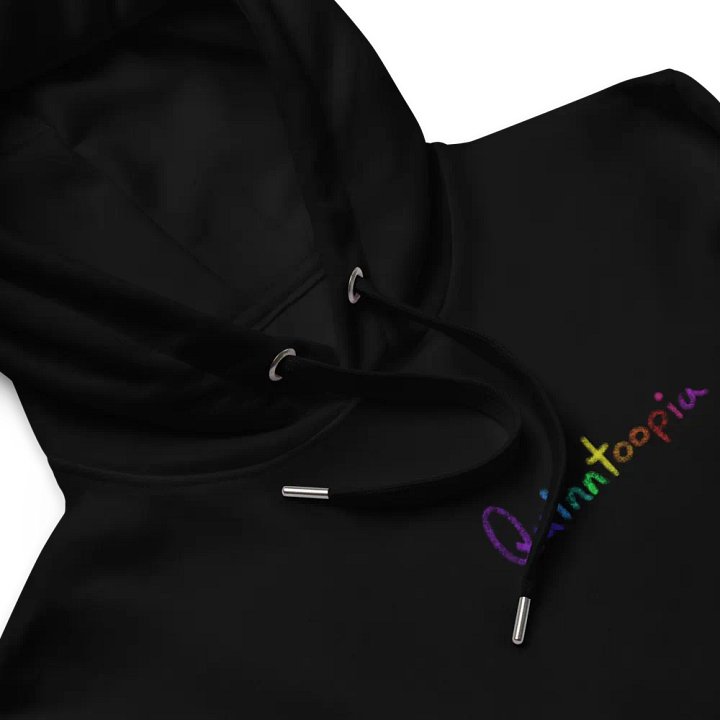 Quinntoopia Brand Hoodie product image (2)