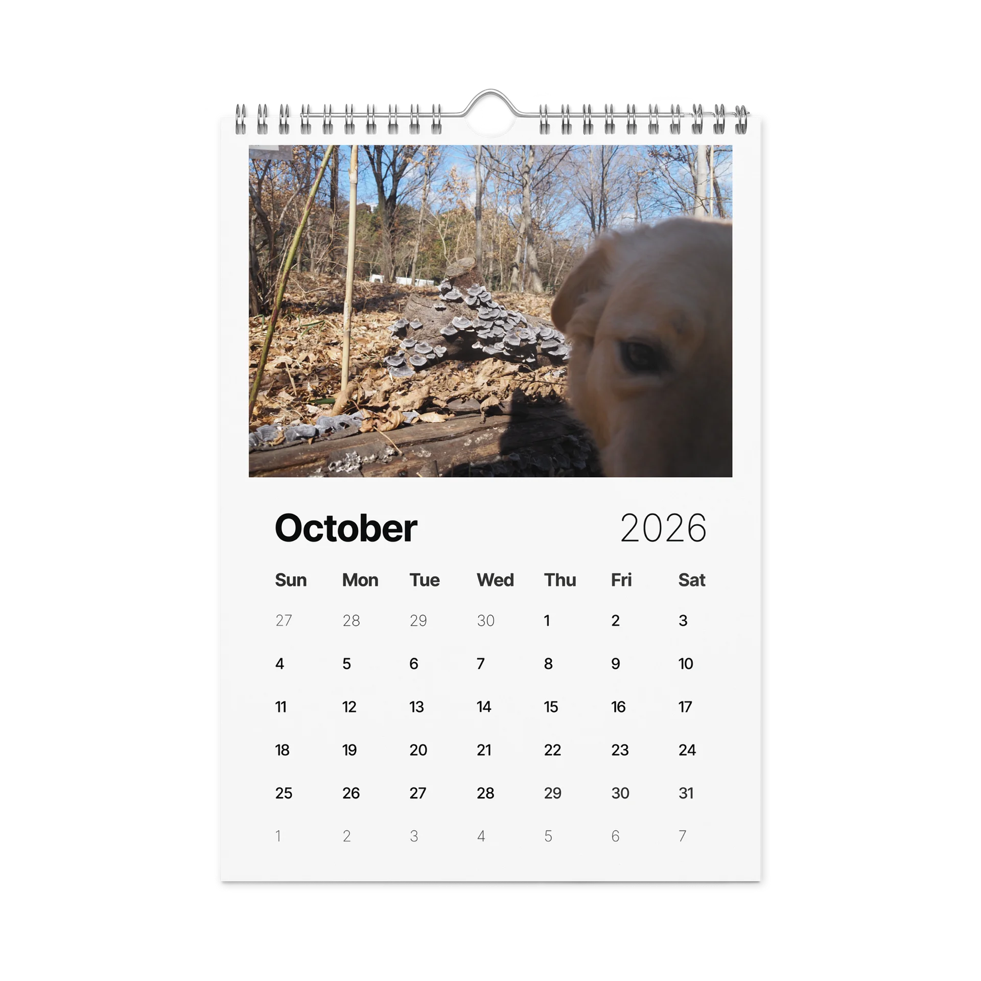 Milo's Life 2026 Wall Calendar product image (11)