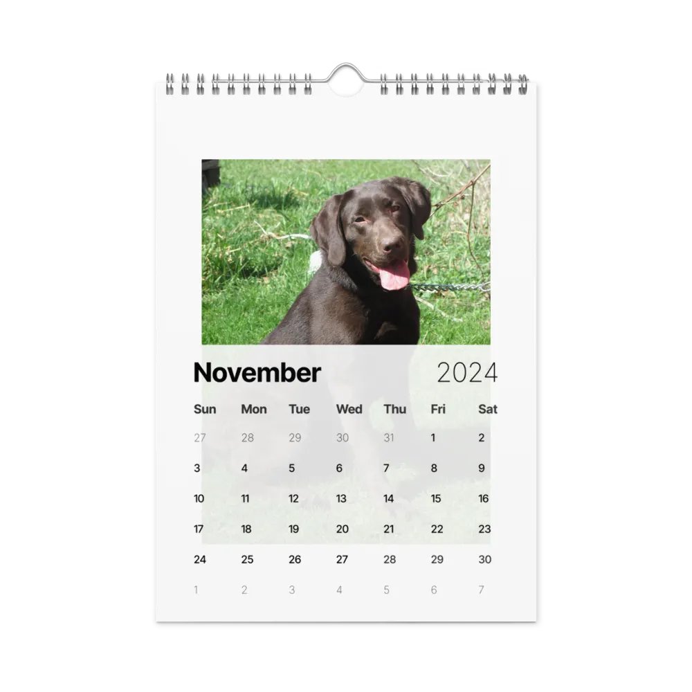 sunsmile year product image (11)