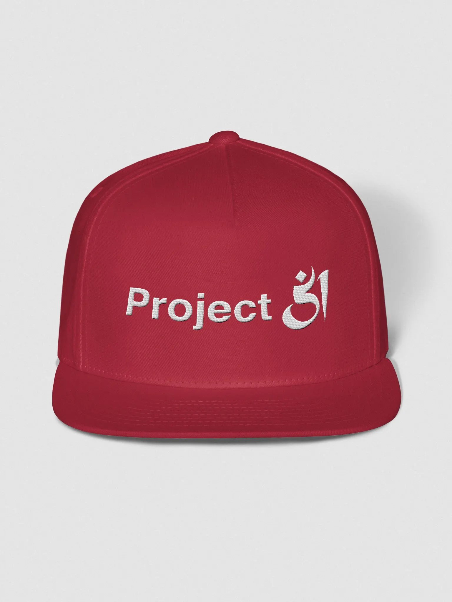 Project 51 snapback product image (1)