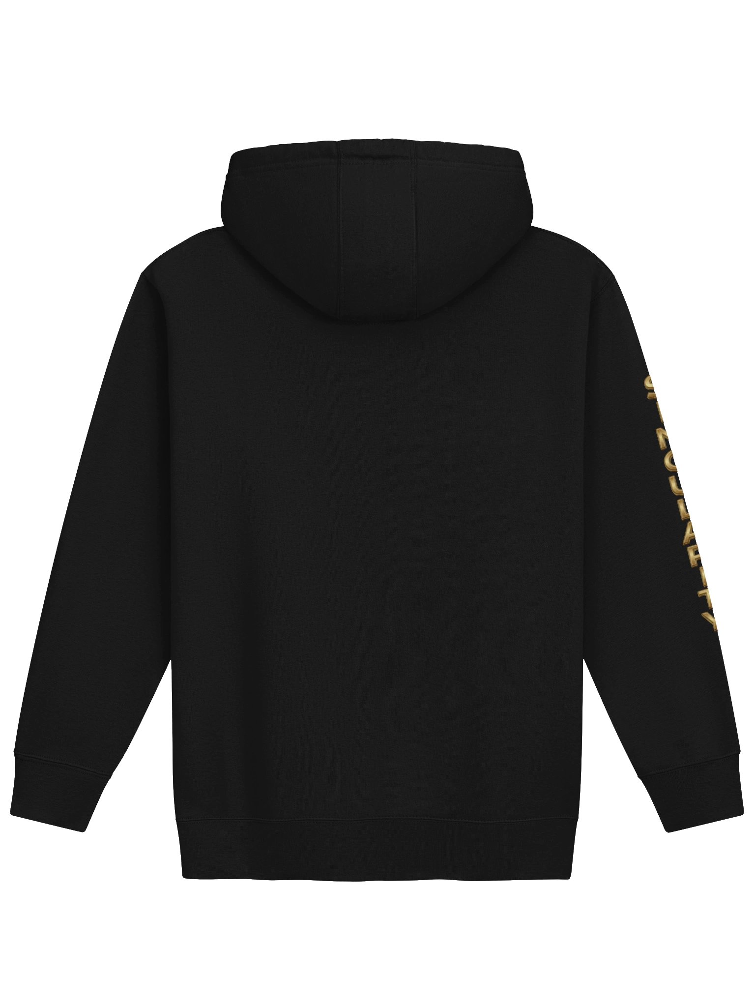 Singularity Team Hoodie product image (2)