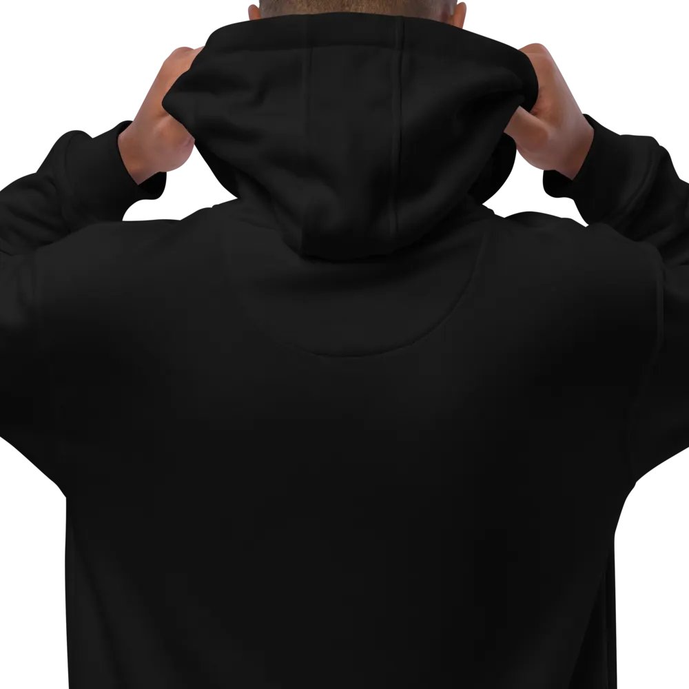 APEvolution: Premium Hoodie product image (5)