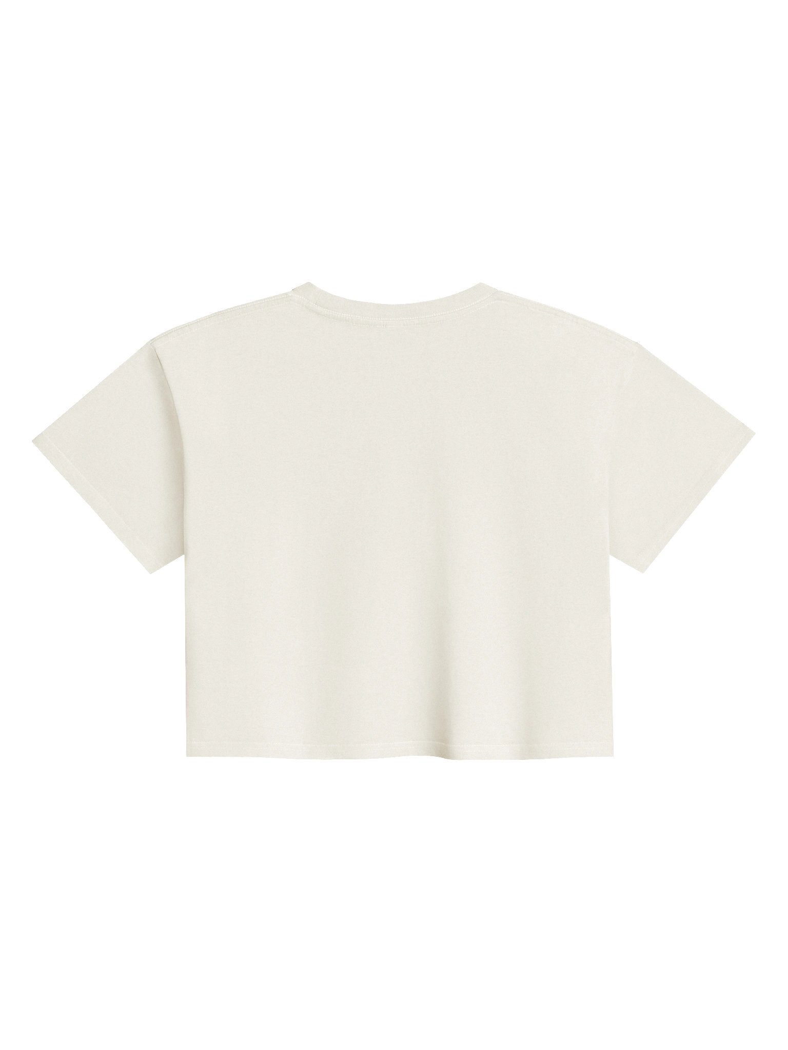 FLAMINGO VY Minimal Crop Tee product image (2)