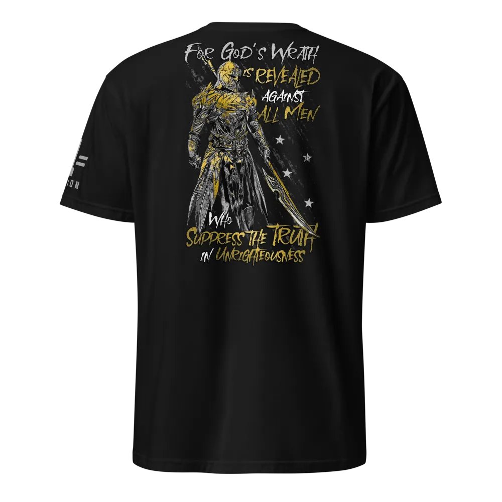 Paladin product image (1)