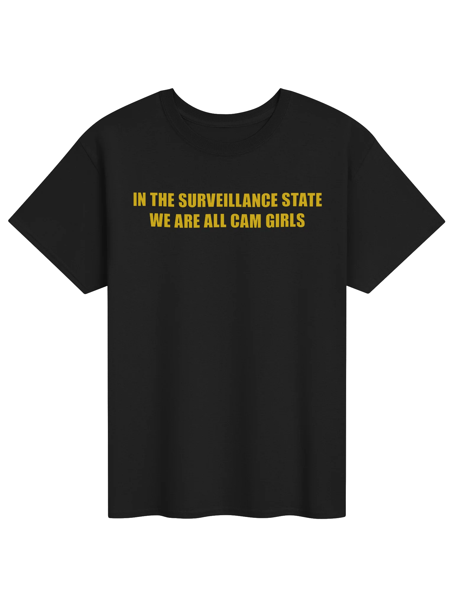 IN THE SURVEILLANCE STATE WE ARE ALL CAM GIRLS product image (11)