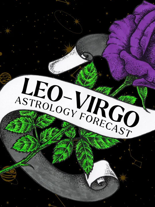 leo virgo cusp ★ astrology tarot forecast ★ august 2026 product image (1)