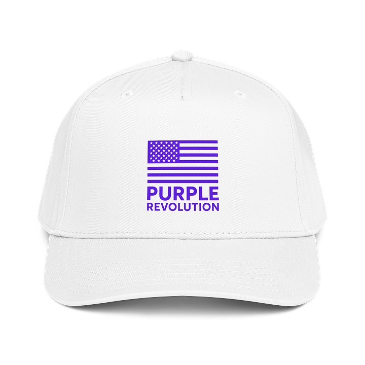 Purple Revolution Hat product image (5)
