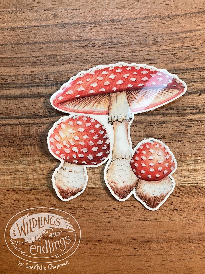 Amanita Muscaria - art decal product image (1)
