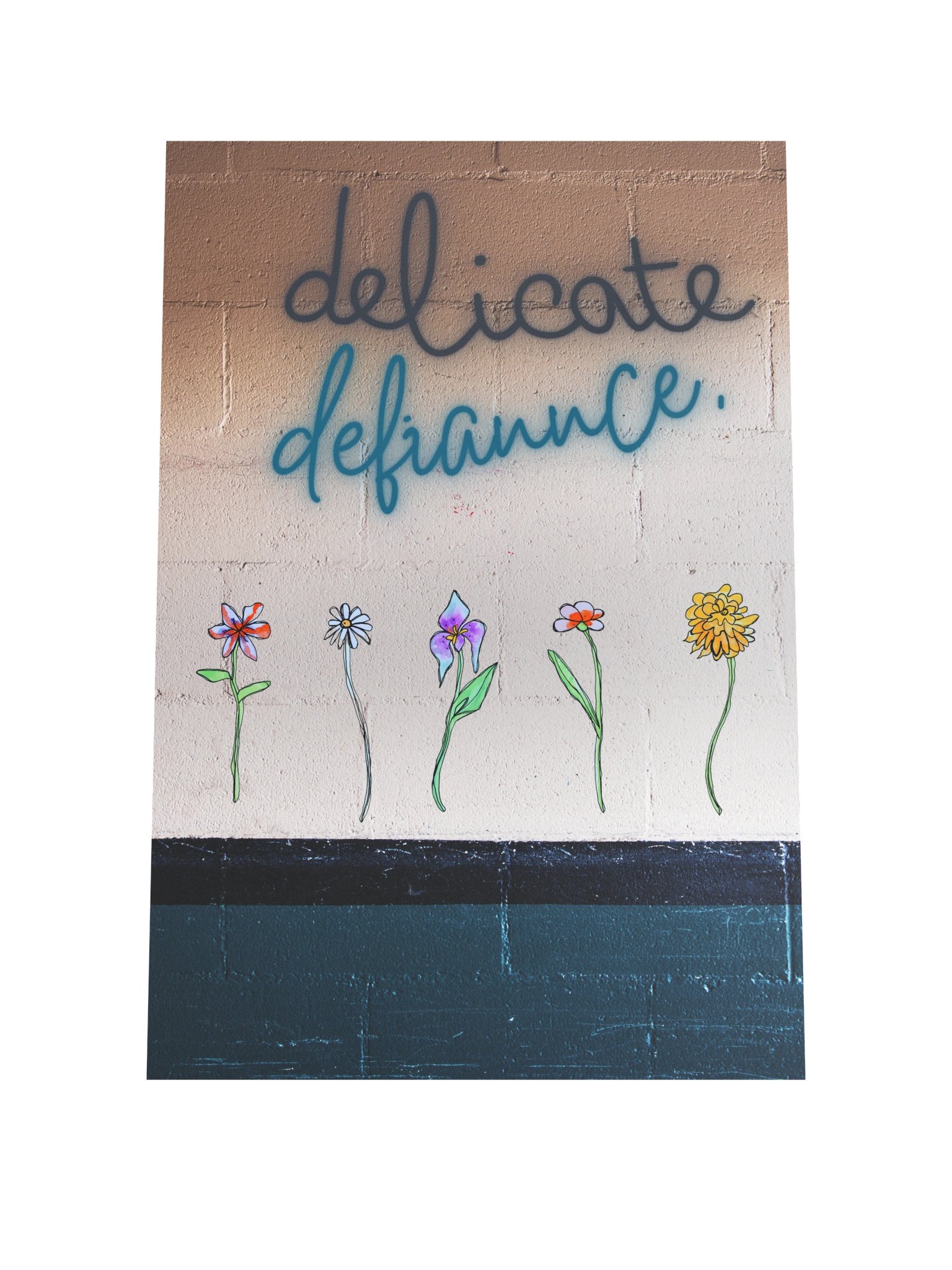 Delicate Defiance product image (1)