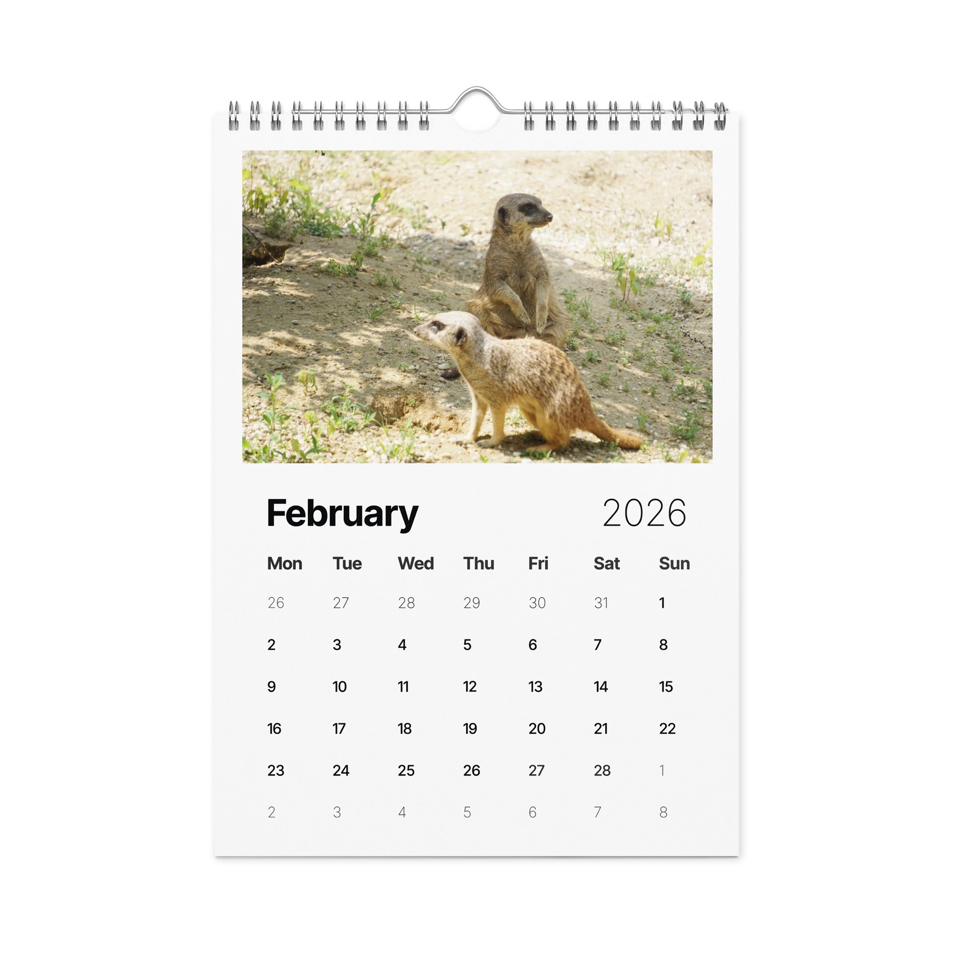 One Year, Twelve Animals: ESE 2026 Wall Calendar product image (5)