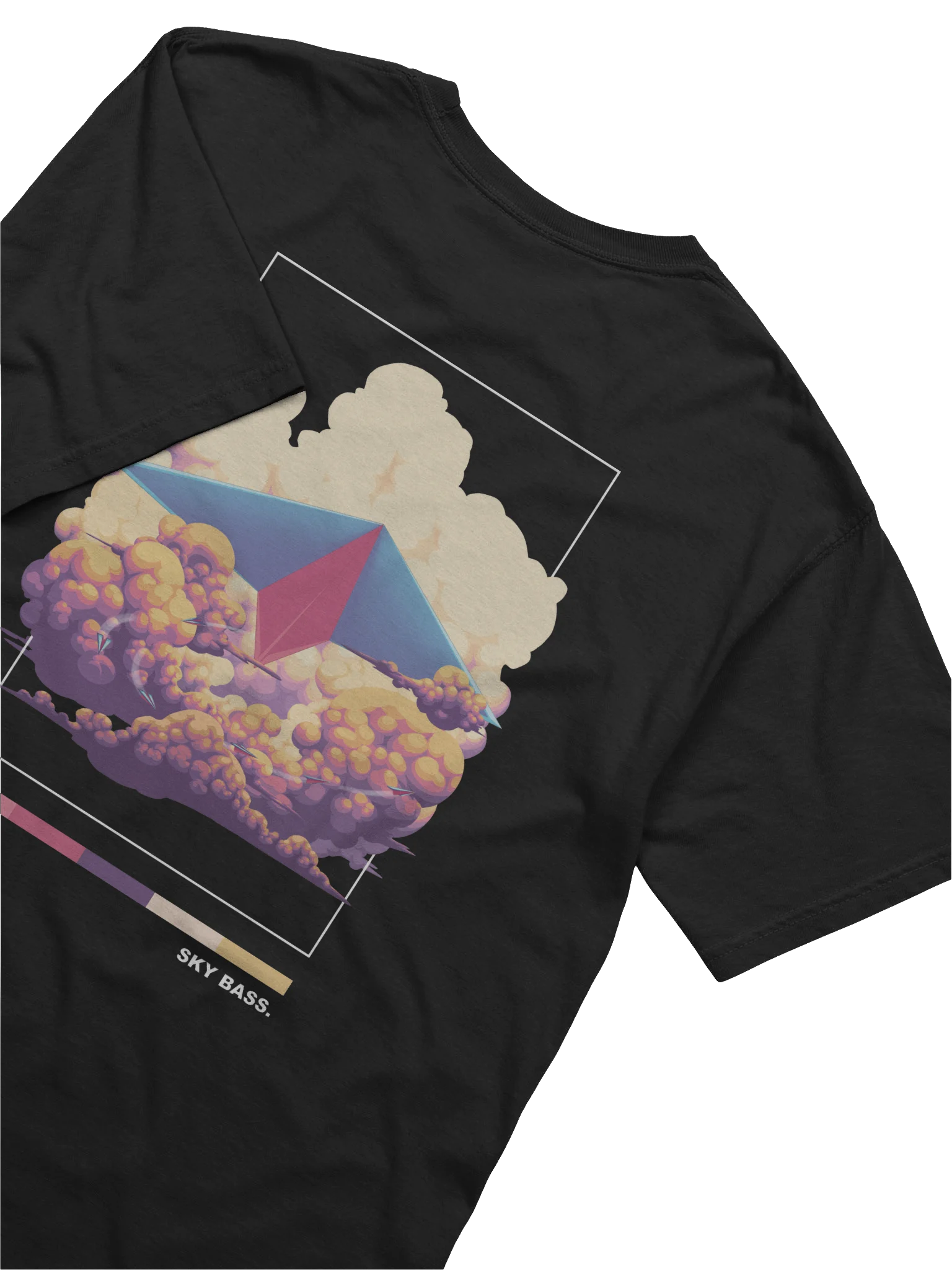 SKY BASS AIRPLANE BACKPRINT product image (6)