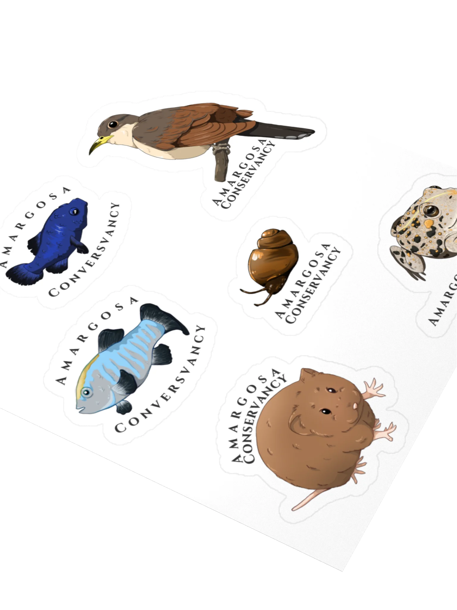 Amargosa River Basin Species Sticker Sheet product image (3)