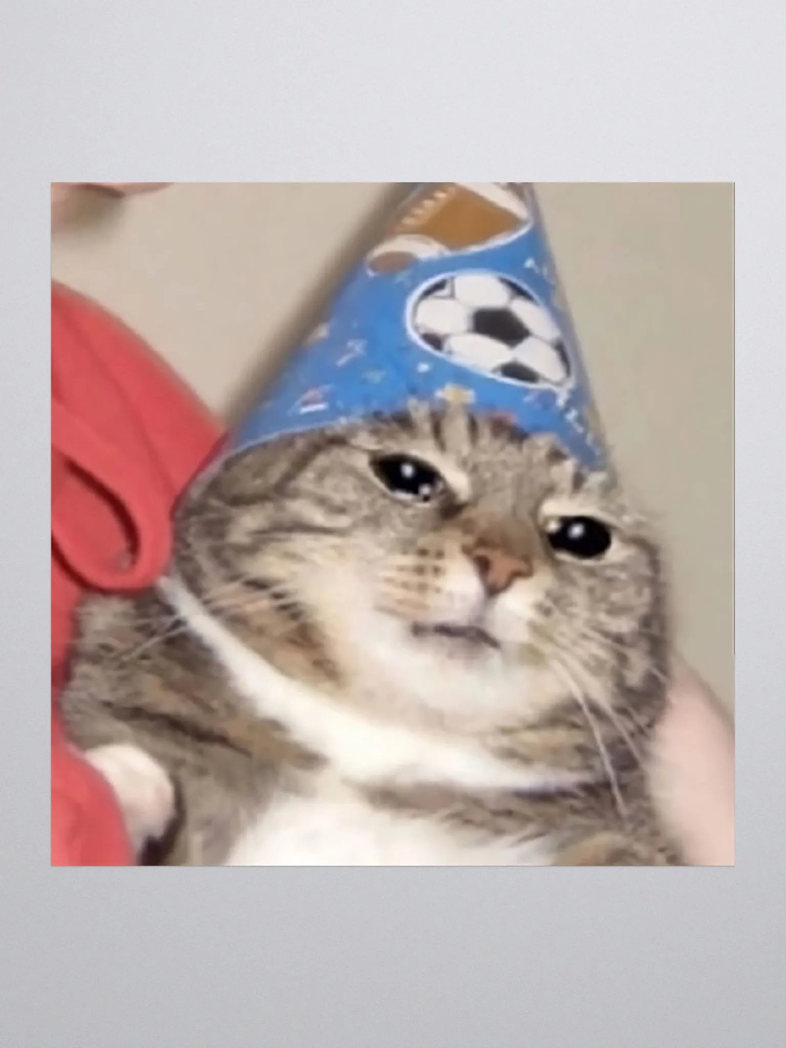 Kiss Cut Stickers: Meme Cats product image (1)