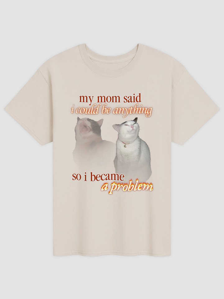 I became a problem cat T-shirt product image (1)