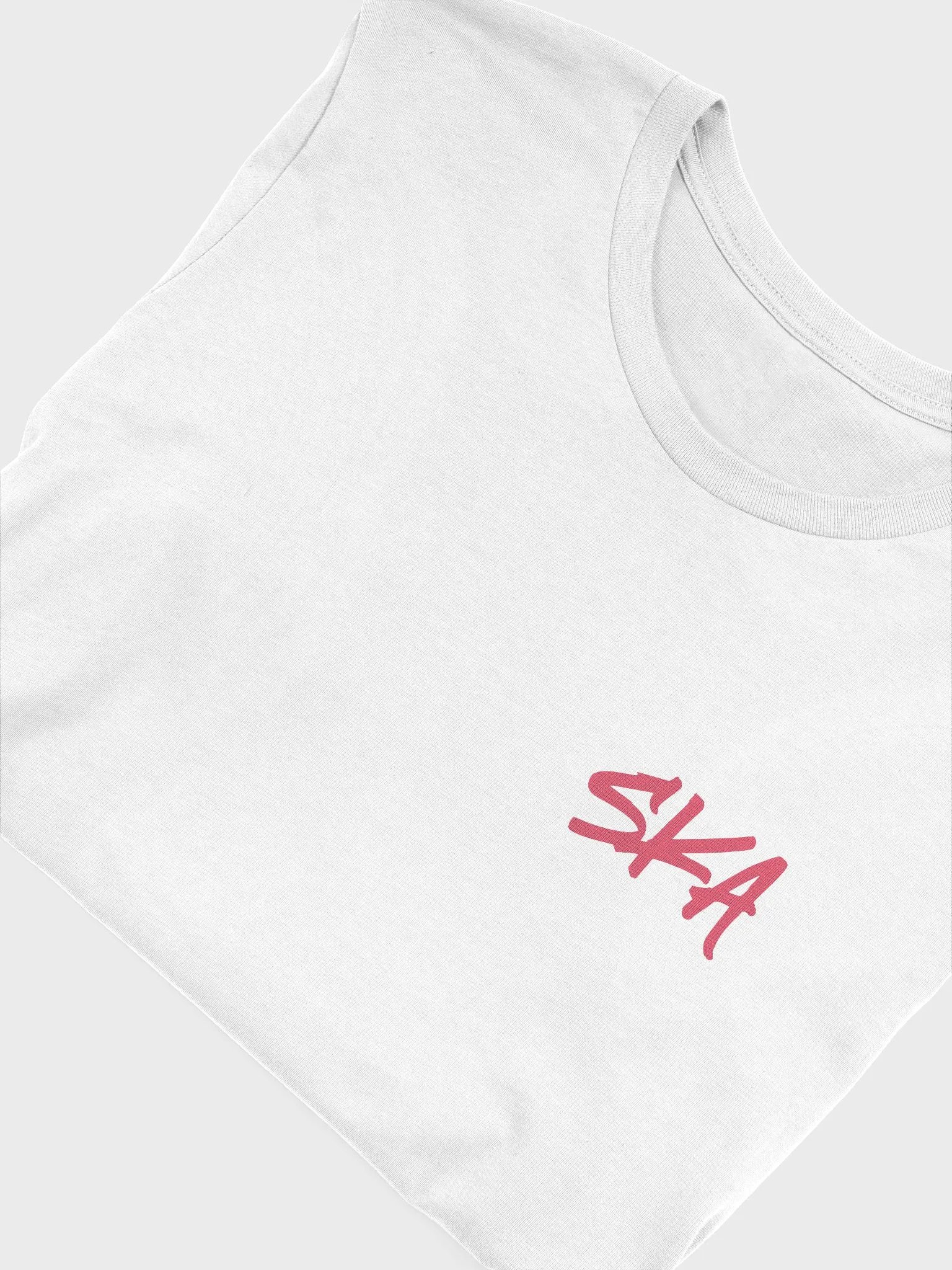 SKAvsTheWorld Offical Brand T-Shirt (Light) product image (25)