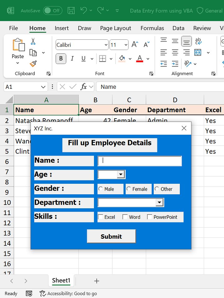 Excel Data Entry Form with VBA product image (1)