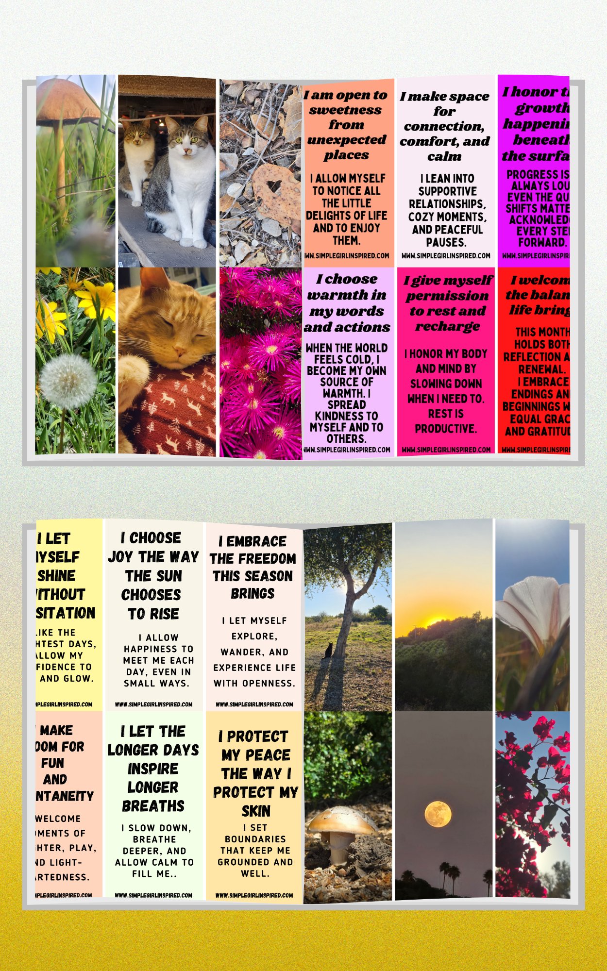 Full Digital Collective Bundle product image (9)