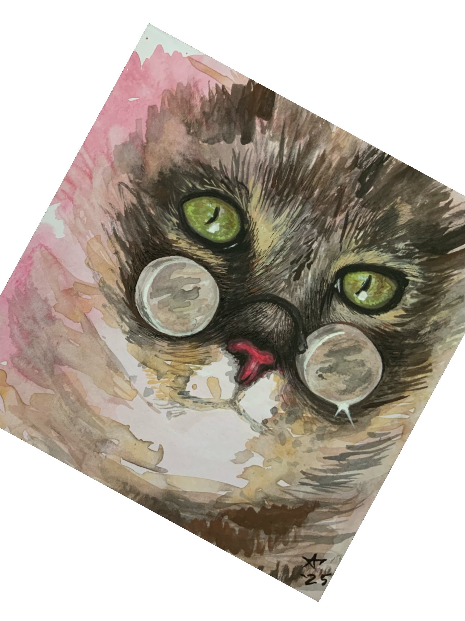 Experimental Kisumisu Tarra product image (2)