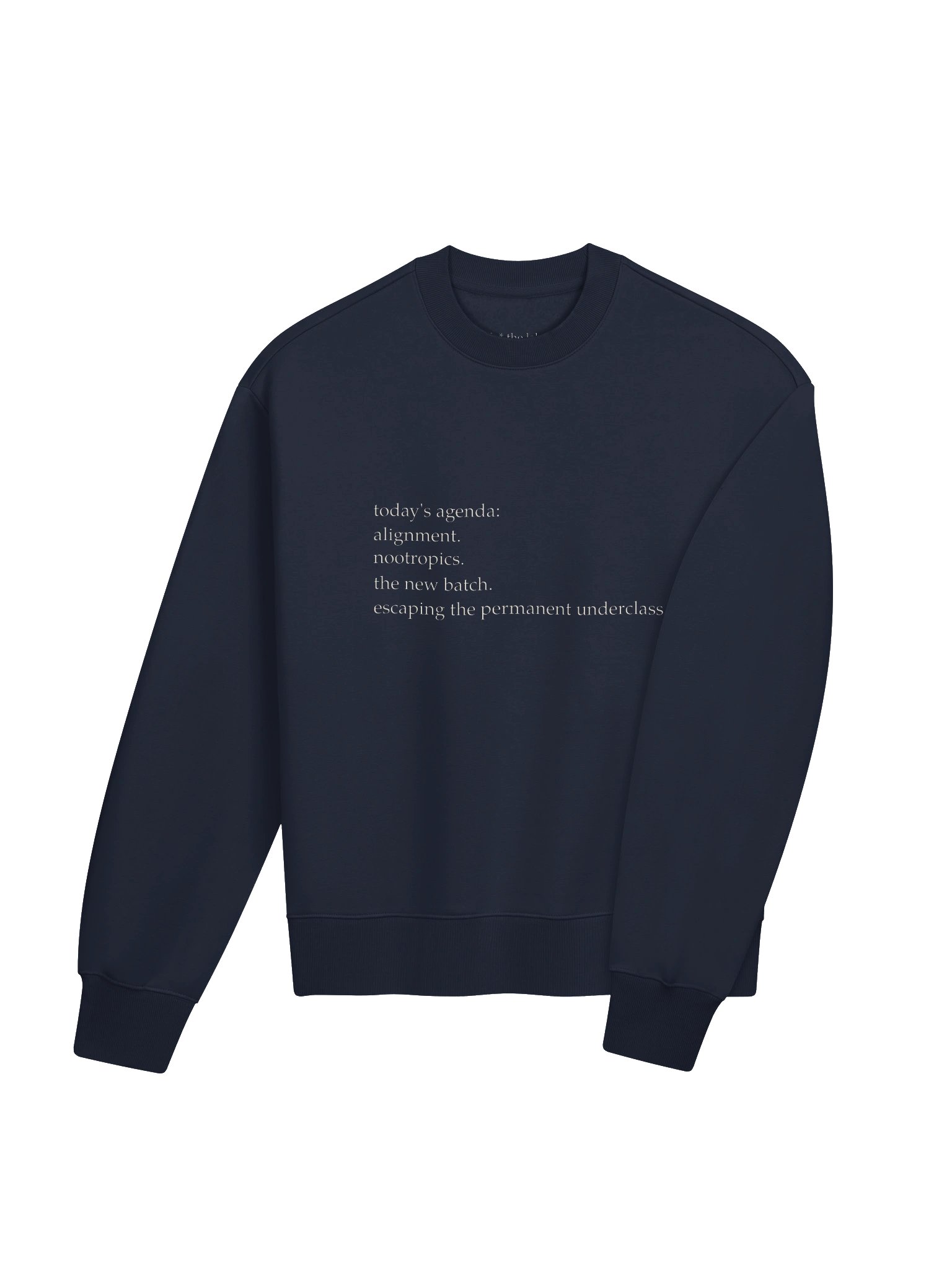 today's agenda — heavy crewneck product image (4)