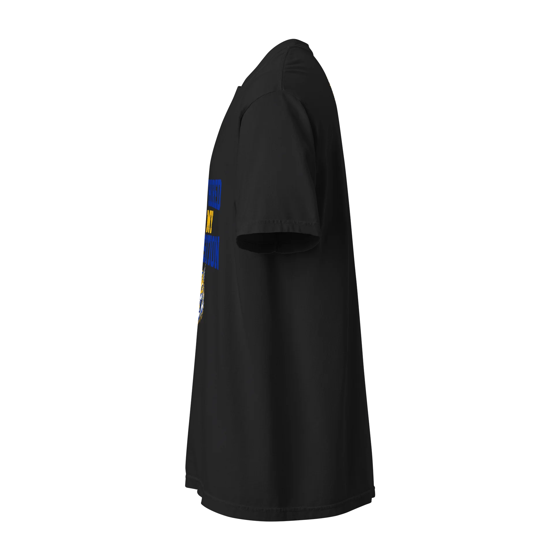 SCB Disposition product image (2)