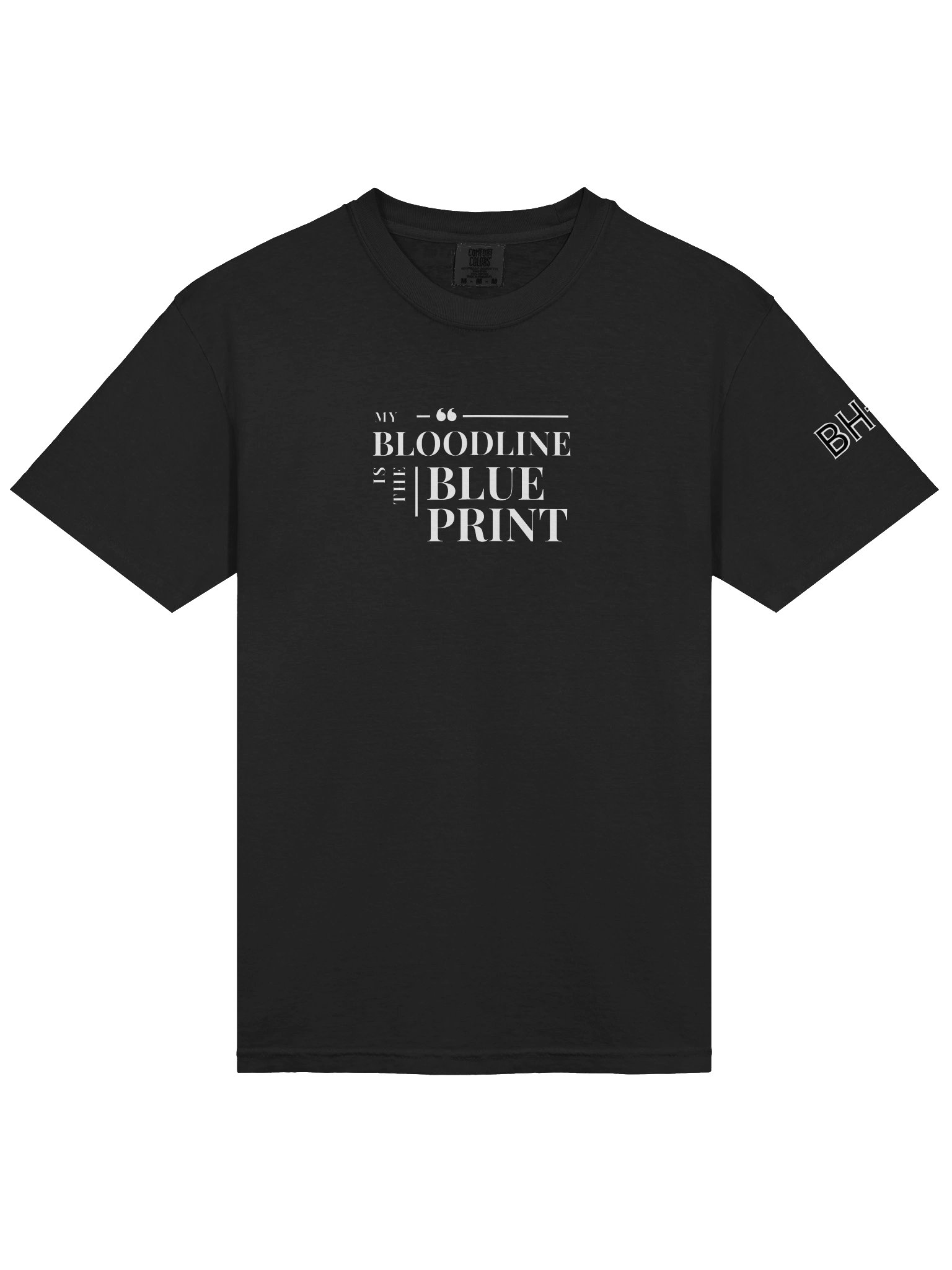 My Bloodline is the Blueprint | Heavyweight T-Shirt | Originology | Black History X product image (9)