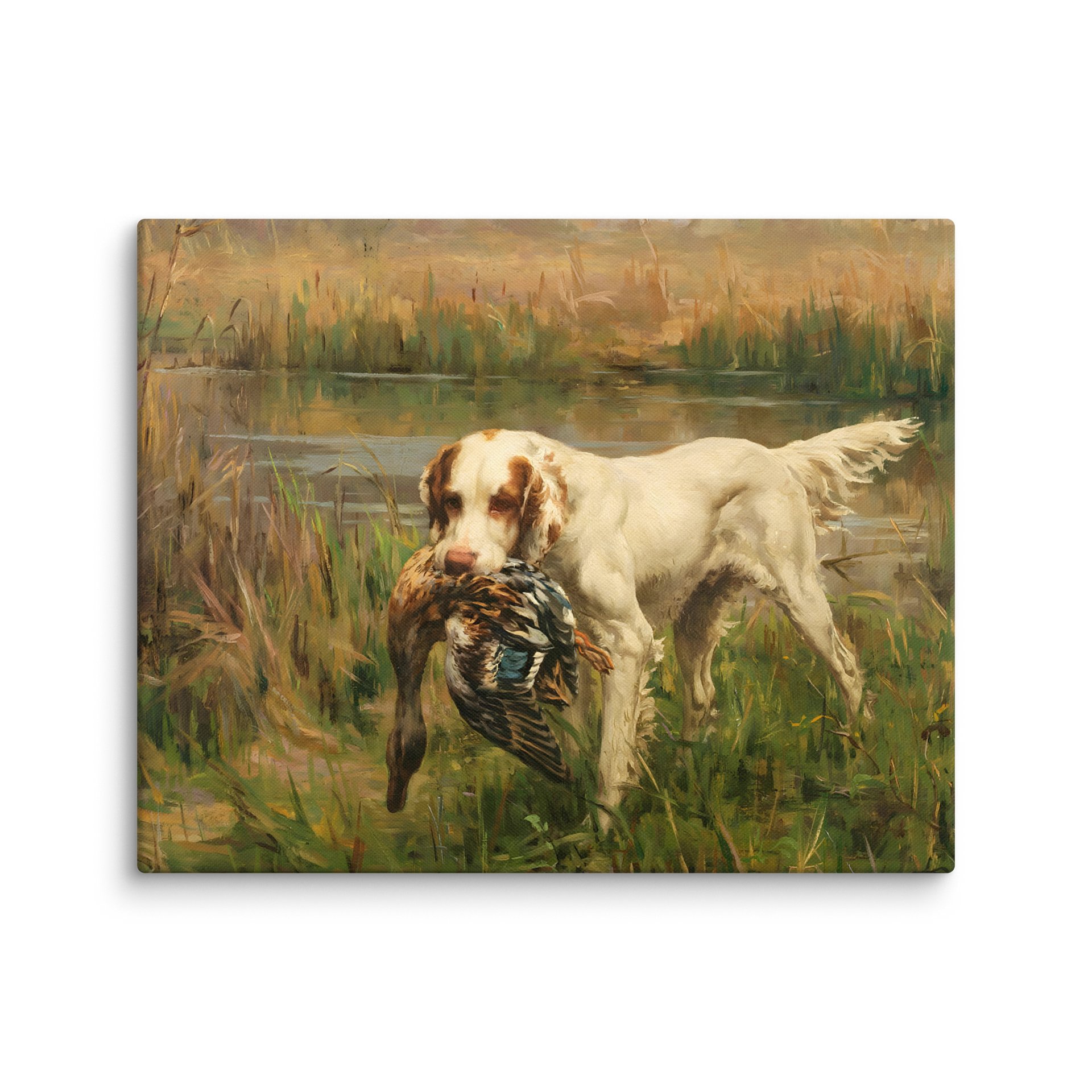 Antique Louisiana Duck Hunting Dog Canvas Print product image (15)