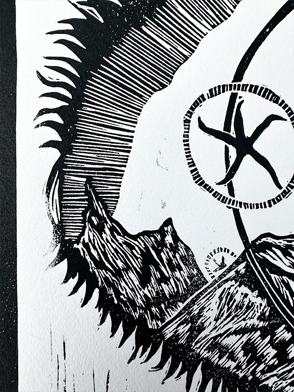 Raven's Reflection product image (3)