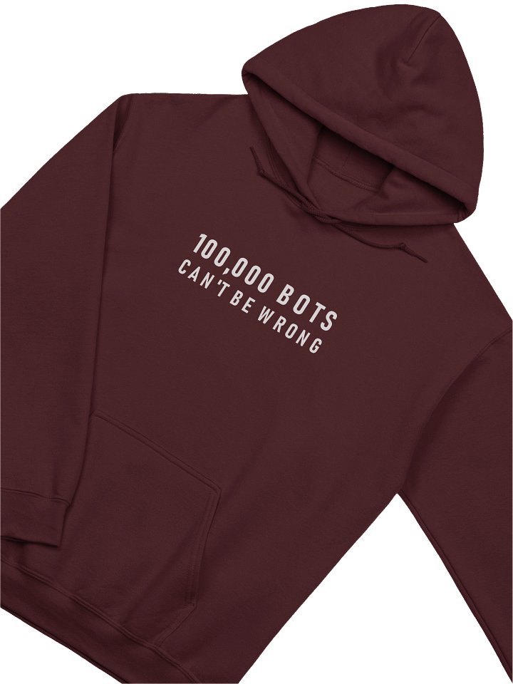 100,000 Bots Can't Be Wrong (Hoodie) product image (2)