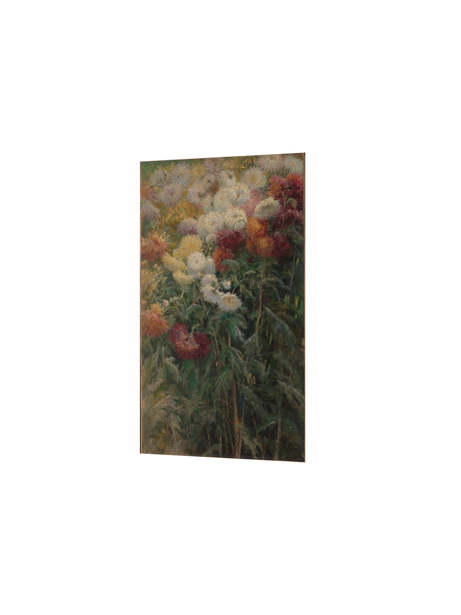 Caillebotte, Chrysanthemums in the Garden at Petit-Gennevilliers — Fine-Art Poster product image (7)