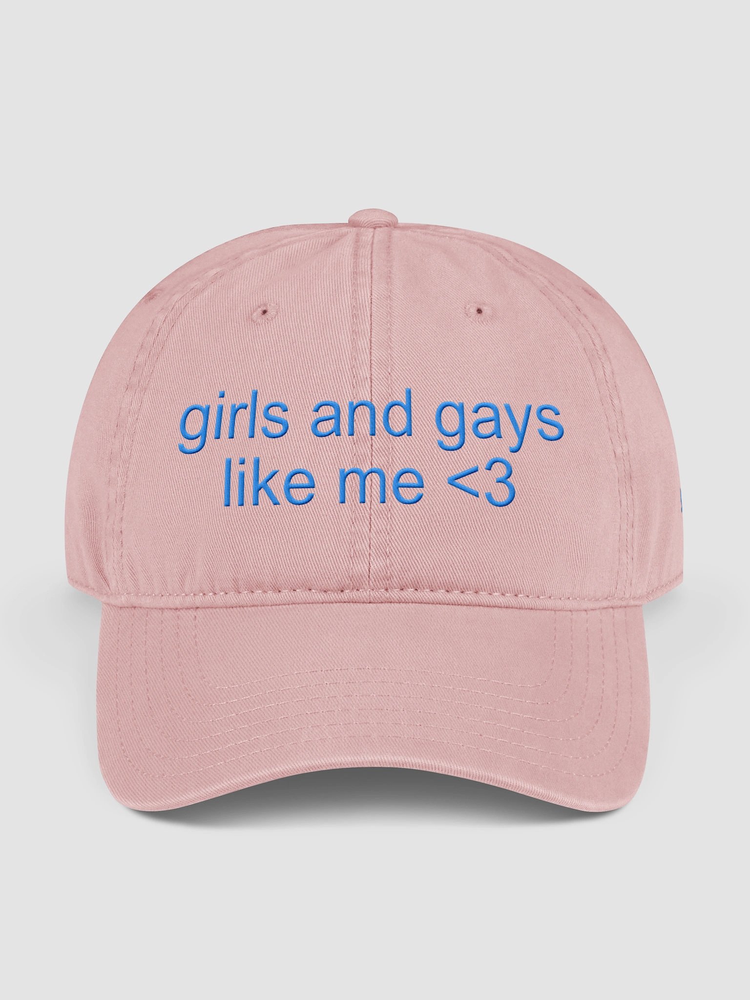 GIRLS AND GAYS LIKE ME HAT product image (1)