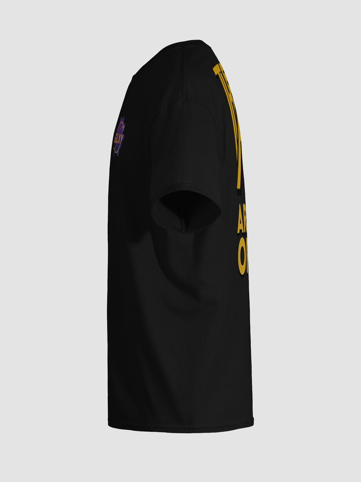 THE AO - T-Shirt product image (127)