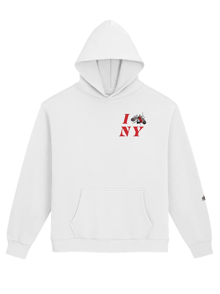 Oversized Hoodie product image (1)