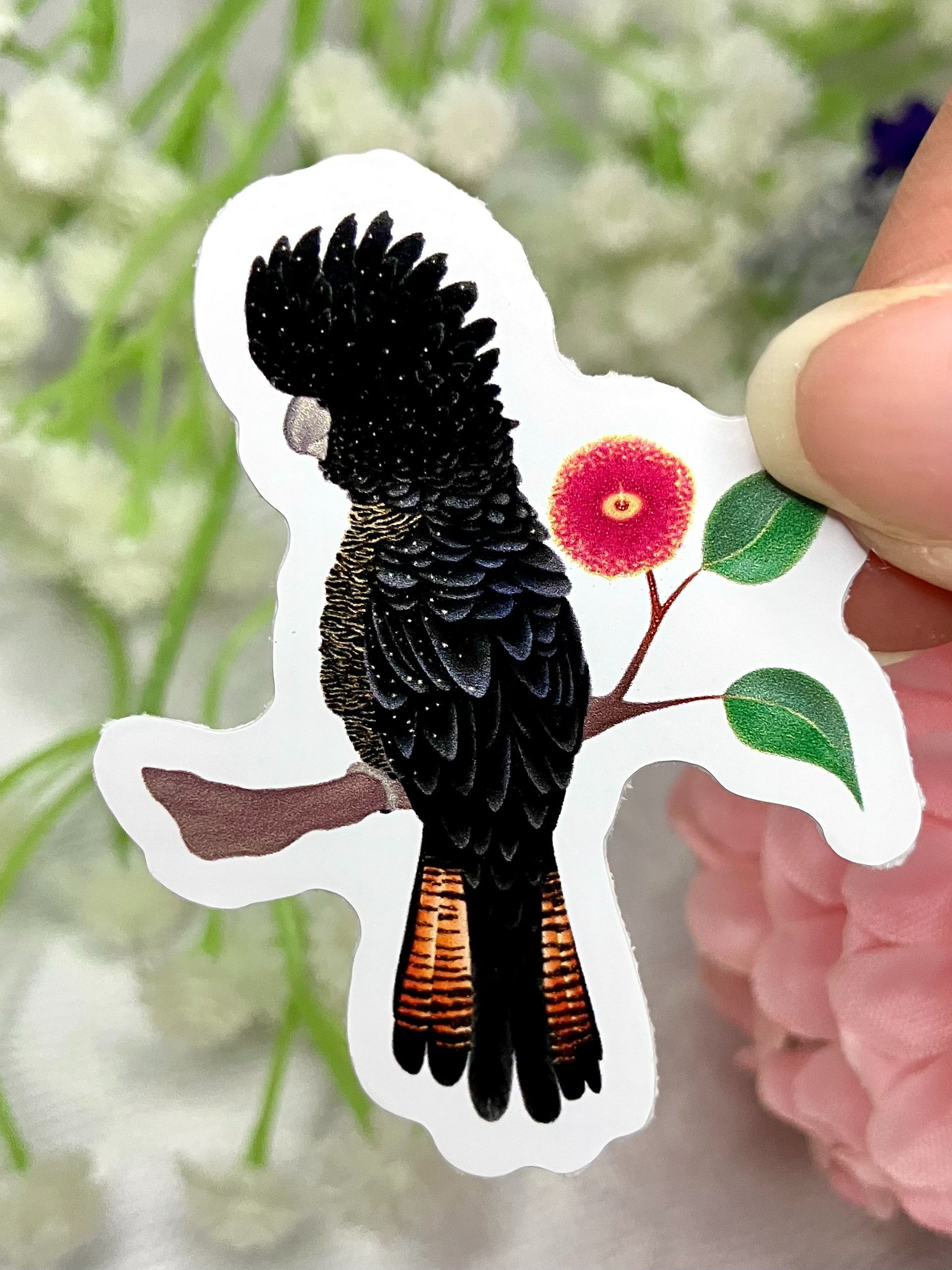 Red Tailed Black Cockatoo Vinyl Sticker product image (3)