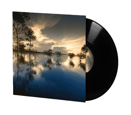 The Swamp 12" Vinyl product image (1)