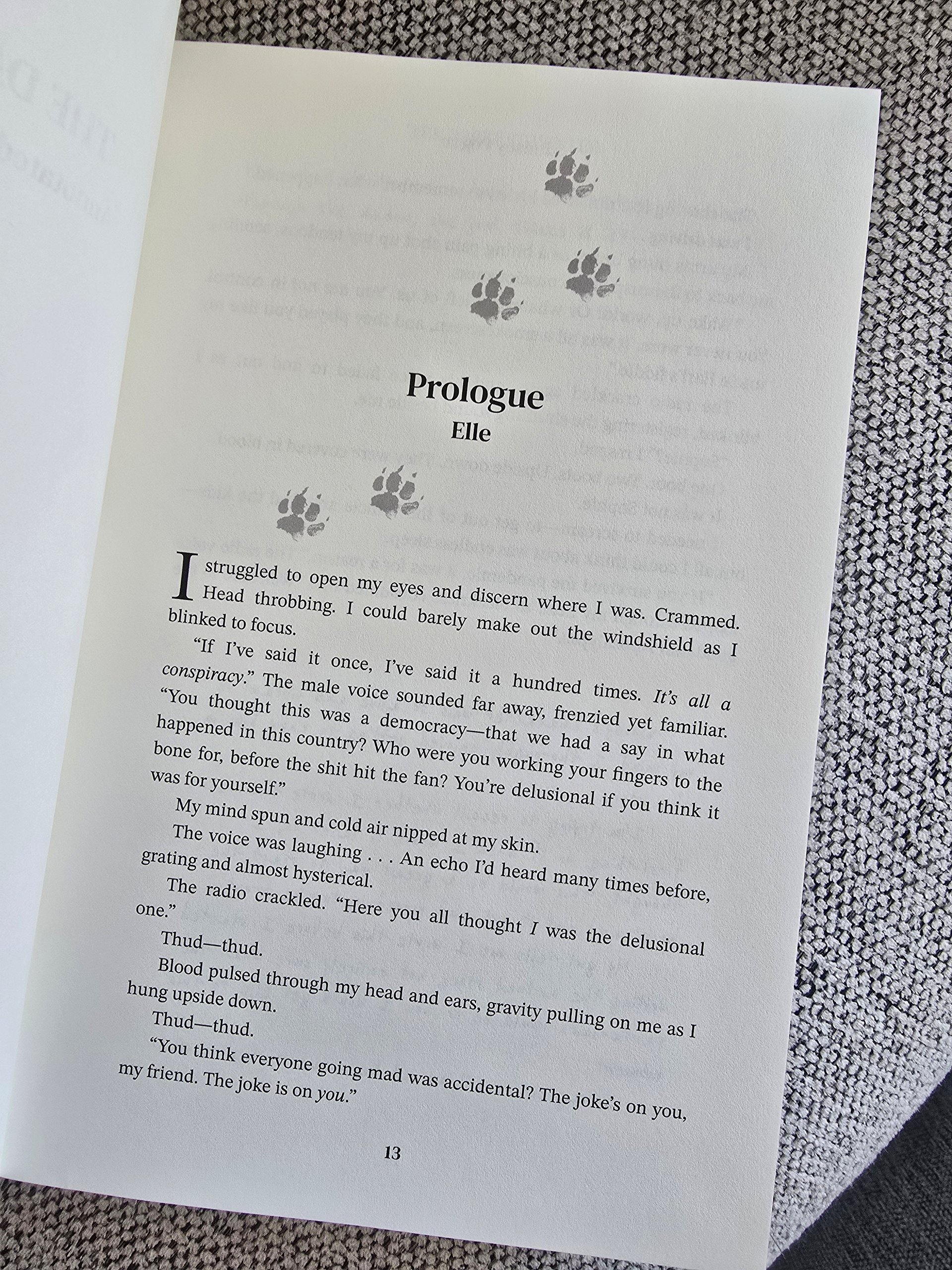 Savage North Creator Chronicles (Special Edition - Imperfect) product image (3)