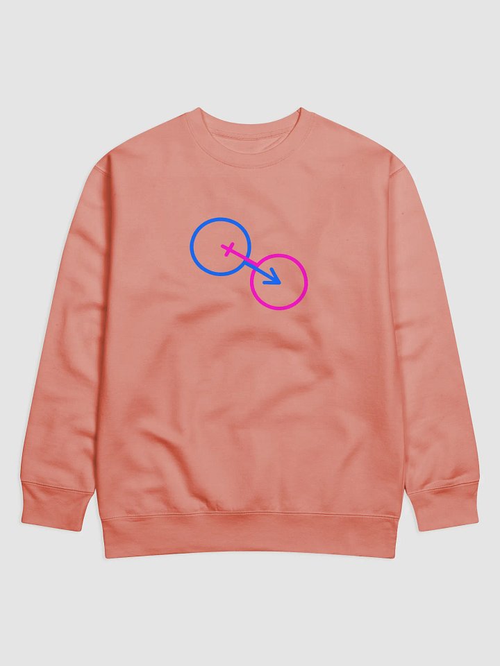 Traditional Male & Female Connectivity Premium Sweatshirt product image (1)