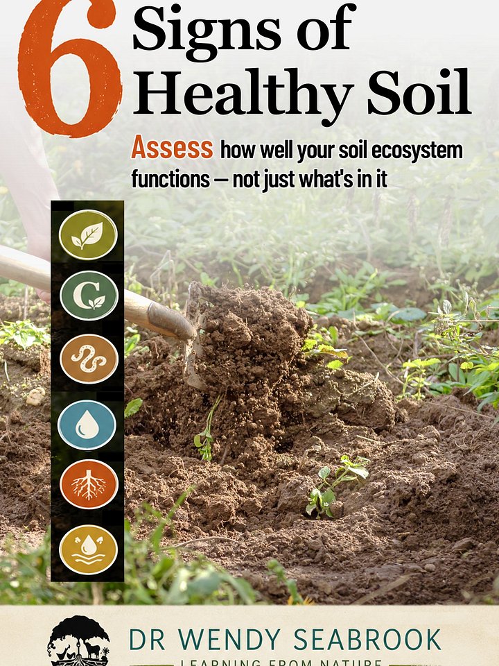6 Signs of Healthy Soil product image (1)