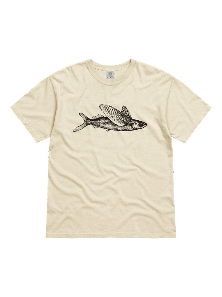 Flying fish - Print product image (31)