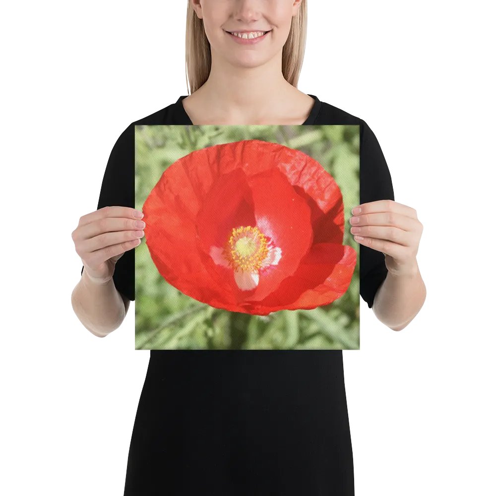 Red Poppy product image (4)
