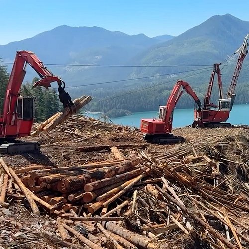 When they say don't look down, I think this is what they're talking about... 😆  #logging  #bigmachine #edgeofyourseat