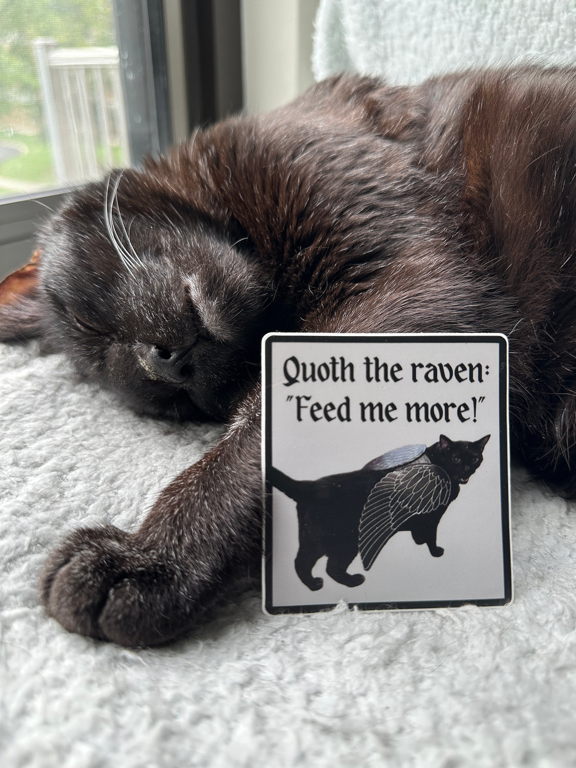 The Raven sticker product image (2)