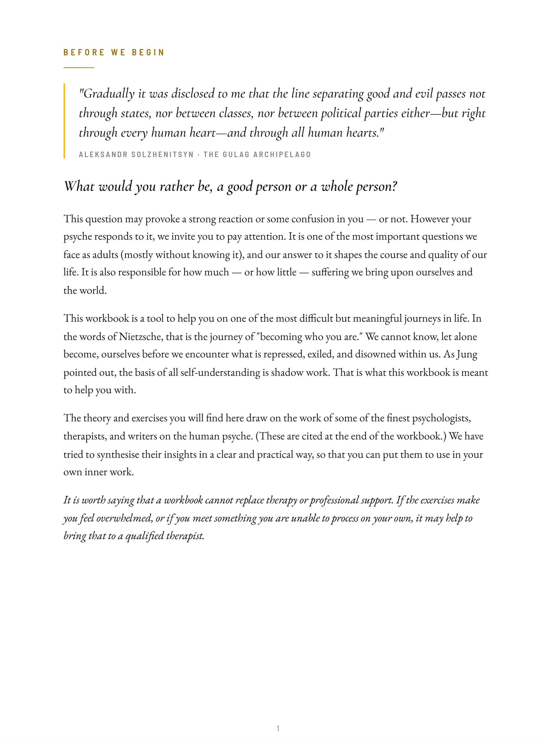 Shadow Workbook product image (5)