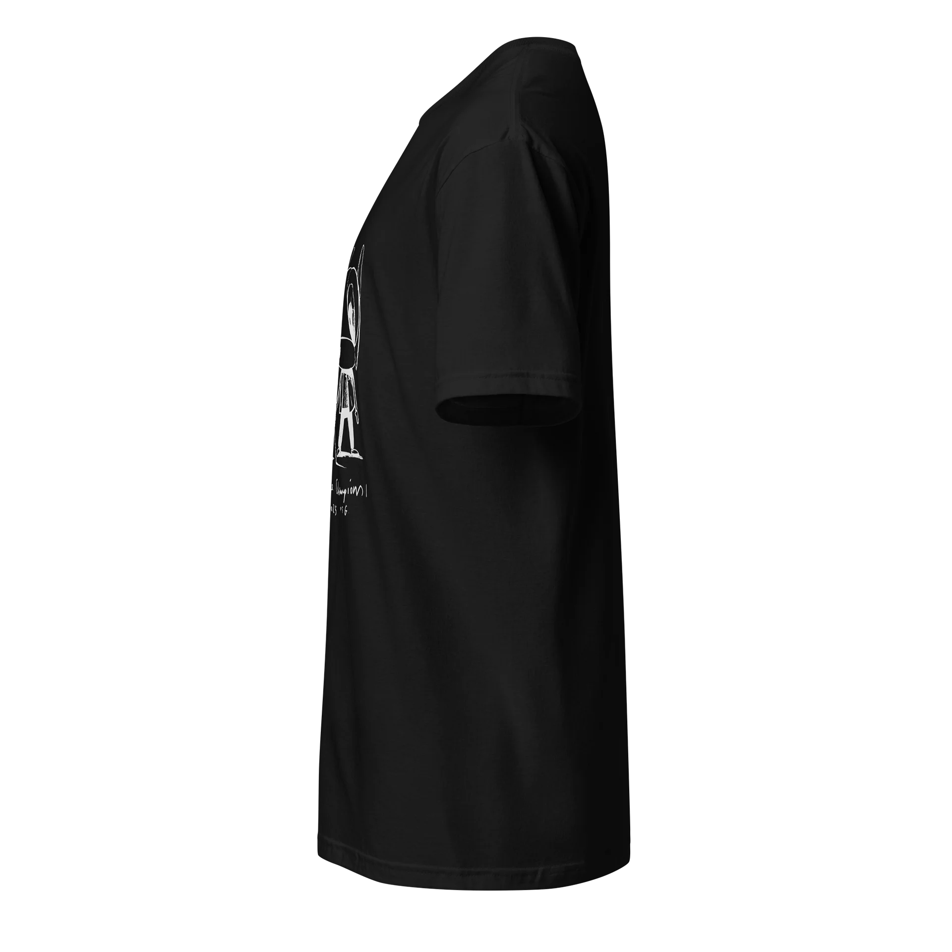 We Are The Champions Luis Enrique Shirt product image (12)