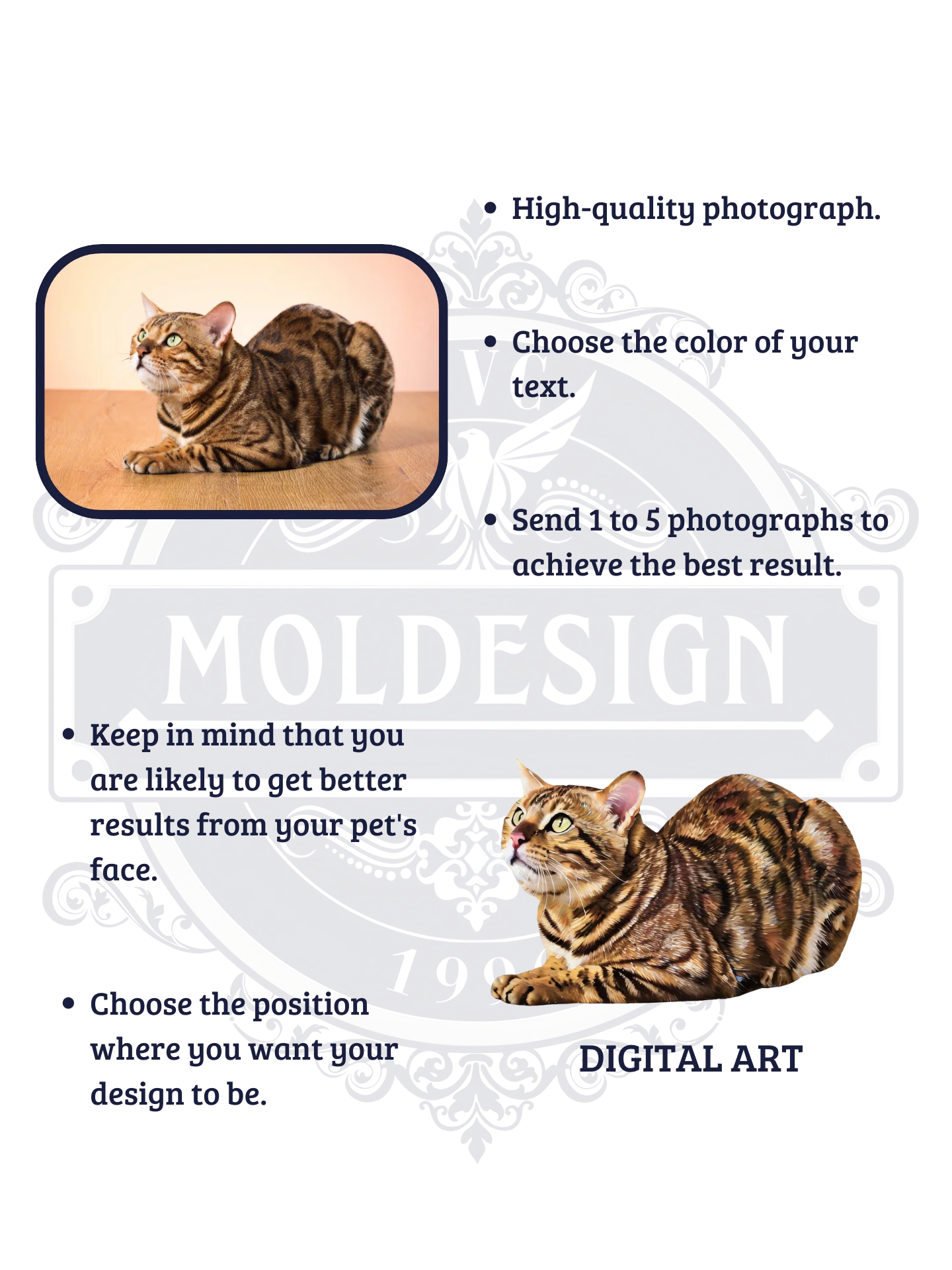 YOUR BENGAL! / T-SHIRT WITH PERSONALIZED NAME / DIGITAL ART III product image (4)