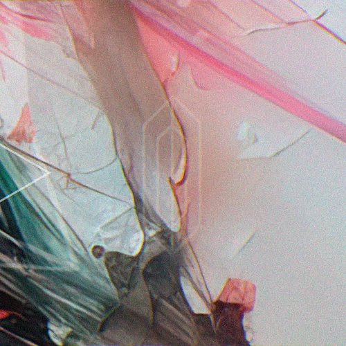 hummingbird. out now everywhere.